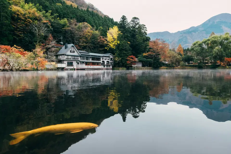 由布院金鱗湖畔的小屋和綠林｜<a href="https://unsplash.com/photos/brown-and-white-house-near-lake-surrounded-by-green-trees-during-daytime-pDmndWCyGUc" target="_blank" rel="noopener">Unsplash 原圖</a>